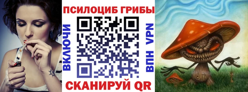 Купить закладки  Анадырь  Галлюциногенные грибы Cubensis 